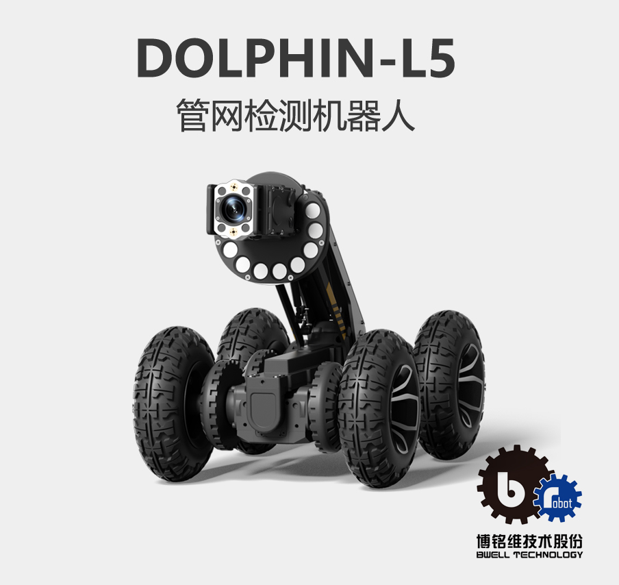 DOLPHIN-L5.jpg