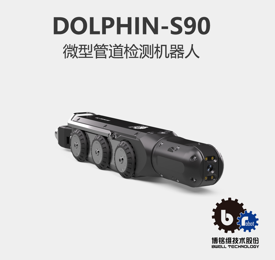 dolphin-s90.jpg