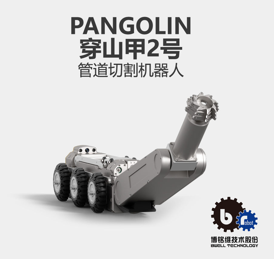 pangolin.jpg